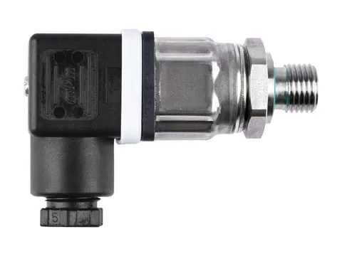 A stainless steel pressure sensor with a threaded process connection and an angled cable plug
